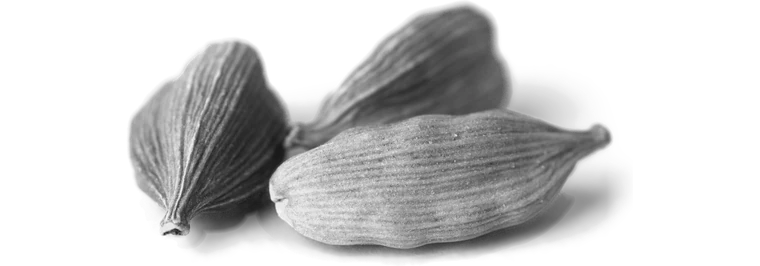 Cardamom