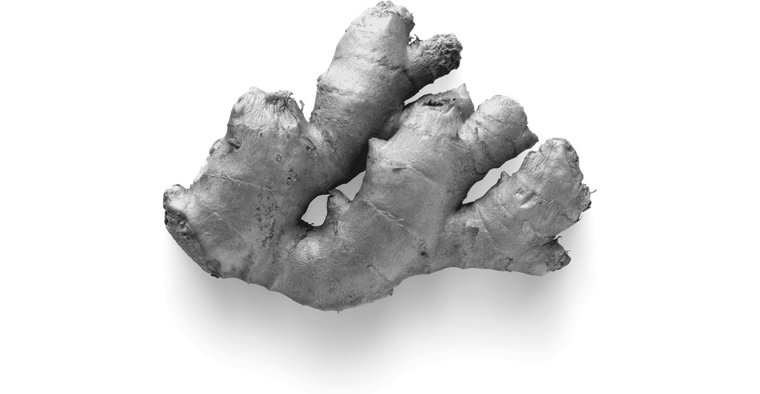 Ginger