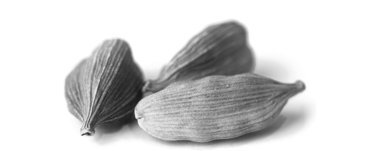 Cardamom